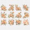Peach Rose Clipart Pack - Floral Bouquet PNGs, Transparent Background, Digital Download, Wedding Invitations, Commercial Use, Craft Supplies